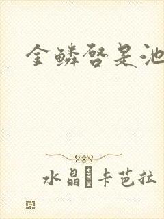 金鳞启是池中物