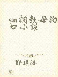 sm调教母狗重口小说