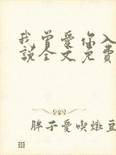 我曾爱你入骨小说全文免费阅读封面