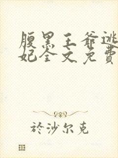 腹黑王爷逃跑王妃全文免费阅读