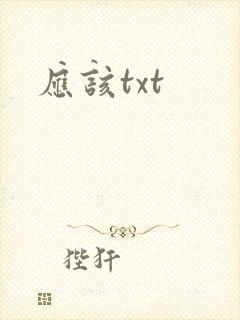 应该txt