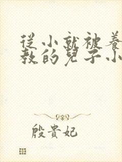 从小就被养父调教的儿子小说
