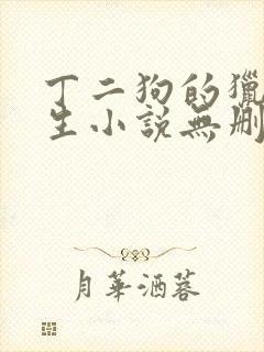 丁二狗的猎艳人生小说无删减小说