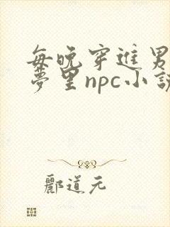 每晚穿进男神的梦里npc小说