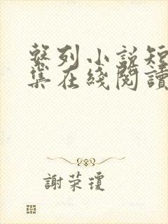 系列小说短篇全集在线阅读