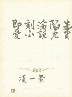 即刻沦陷先婚后爱小说免费阅读全文