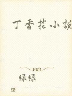 丁香花小说封面
