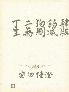丁二狗的肆意人生无删减版 小说