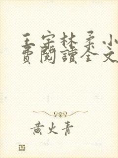 王宇林柔小说免费阅读全文最新章节封面