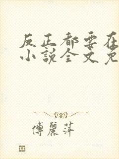 反正都要在一起小说全文免费阅读