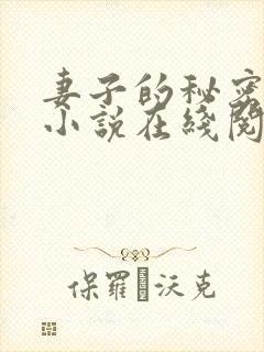 妻子的秘密薛星小说在线阅读