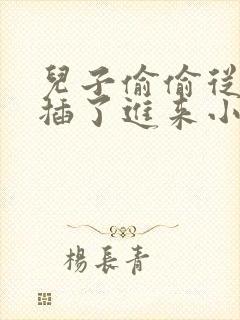 儿子偷偷从身后插了进来小说免费阅封面