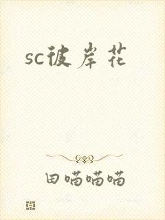 sc彼岸花封面