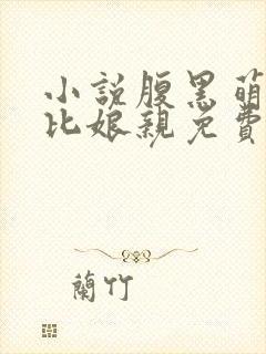 小说腹黑萌宝逗比娘亲免费阅读封面