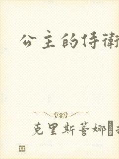 公主的侍卫