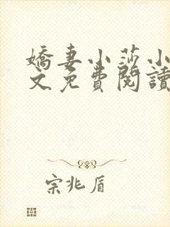 娇妻小莎小说全文免费阅读封面