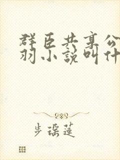 群臣共享公主银羽小说叫什么