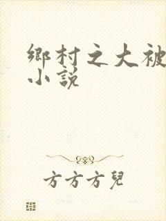乡村之大被同眠小说封面