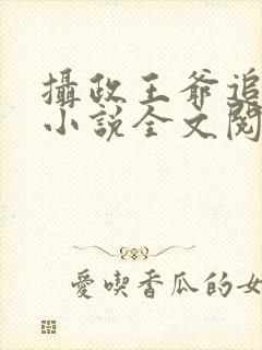 摄政王爷追妻忙小说全文阅读