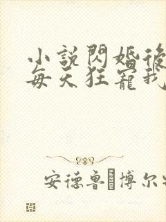 小说闪婚后大叔每天狂宠我全文阅读封面