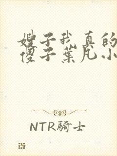 嫂子我真的不是傻子叶凡小说 原名