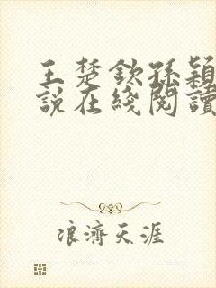 王楚钦孙颖莎小说在线阅读封面