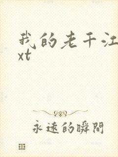 我的老千江湖txt