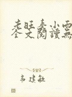 老旺秦小雨小说全文阅读无弹窗