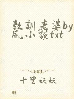 教训老婆by火风小说txt