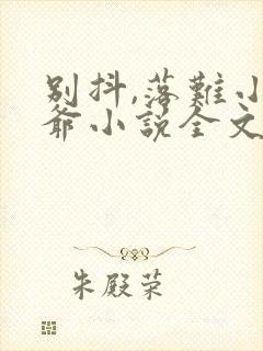 别抖,落难小少爷小说全文免费阅读