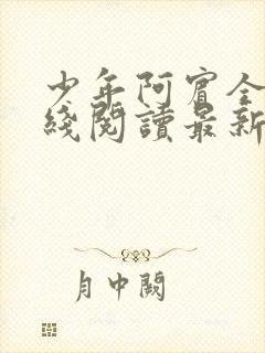 少年阿宾全文在线阅读最新章节免费阅读封面