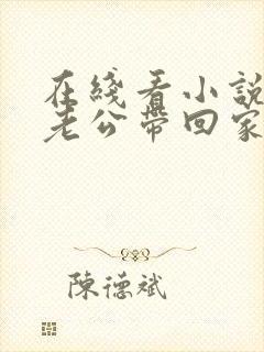 在线看小说国民老公带回家