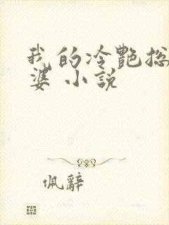 我的冷艳总裁老婆 小说