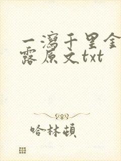 一泻千里金银花露原文txt