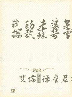 我的老婆是冰山总裁苏若雪沈浪封面