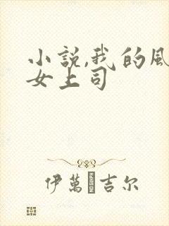 小说,我的风情女上司