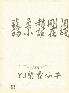 苏柔赵刚周明权的小说在线阅读全文最新
