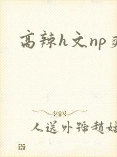 高辣h文np爽封面