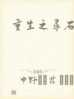 重生之寻石者