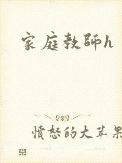 家庭教师h