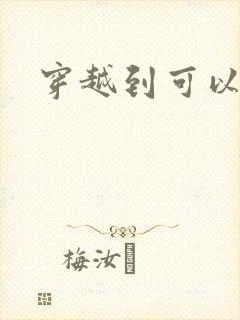 穿越到可以随便封面