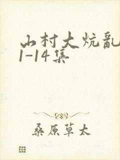 山村大炕乱肉续1-14集封面