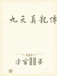 九天真龙传封面