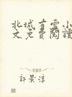 北城有雪小说全文免费阅读全文封面