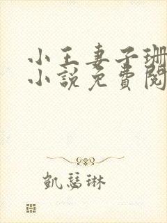 小王妻子珊珊的小说免费阅读