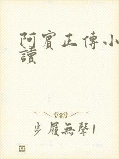 阿宾正传小说在读