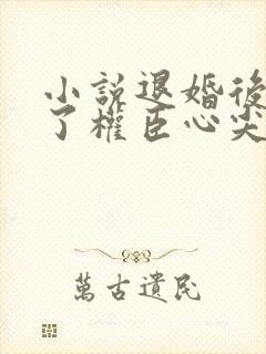 小说退婚后我成了权臣心尖宠