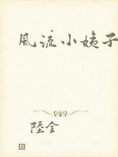 风流小姨子封面