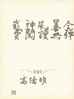 武神风暴全文免费阅读无弹窗笔趣阁封面