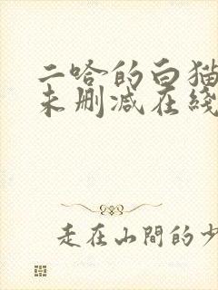 二哈的白猫师尊未删减在线阅读封面